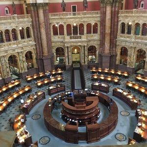 Meet your Posher, Lexi